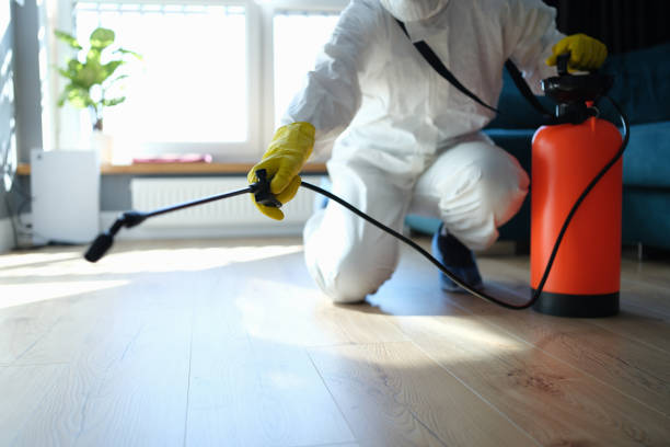 Reliable Hoarding Cleanup contractor in West Alexandria, OH by Dulley Family Biohazard Services
